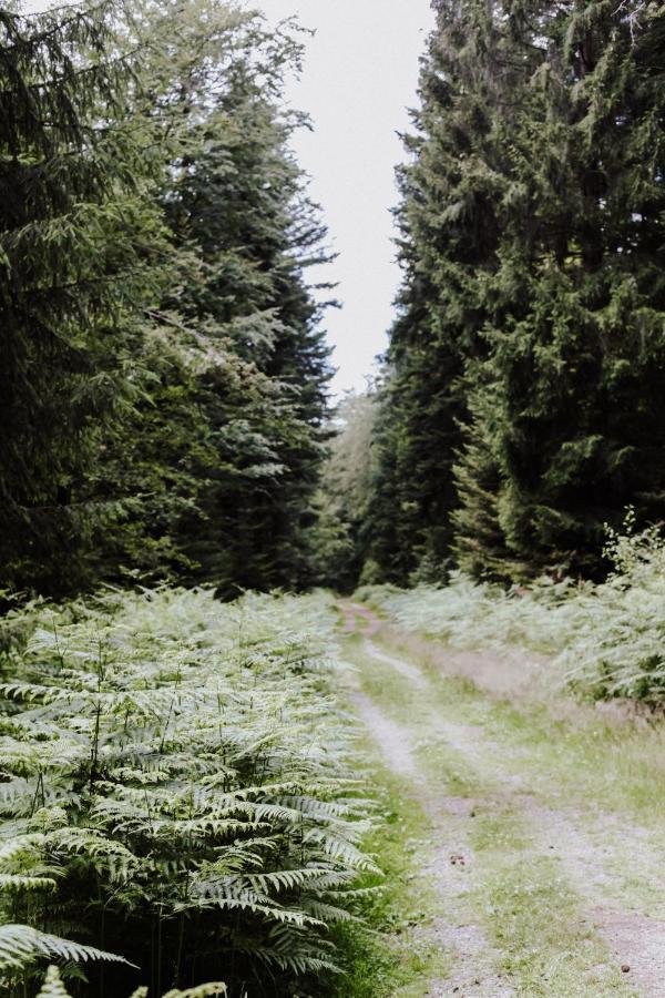 4-Zimmer-Ferienwohnung Waldbluemle Dobel Esterno foto