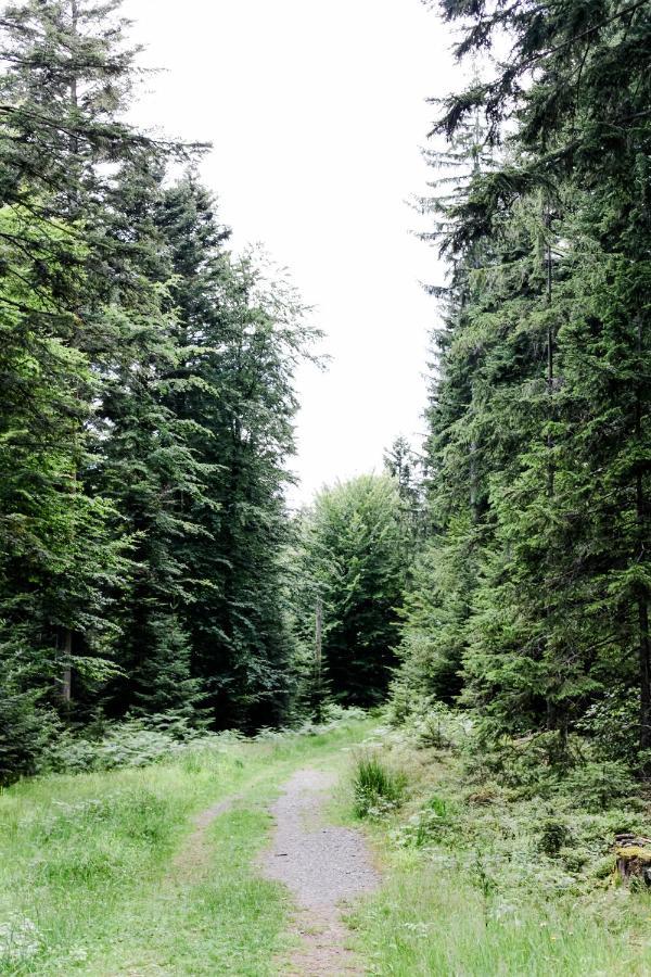 4-Zimmer-Ferienwohnung Waldbluemle Dobel Esterno foto